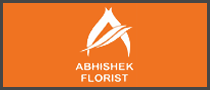 DV Infosoft Pvt. Ltd.