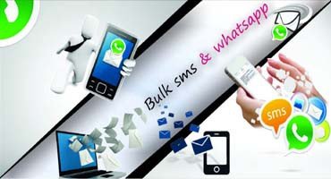 DV Infosoft Pvt.Ltd.