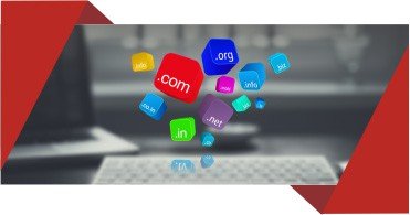 Domain and Web Hosting Services in Bhopal
